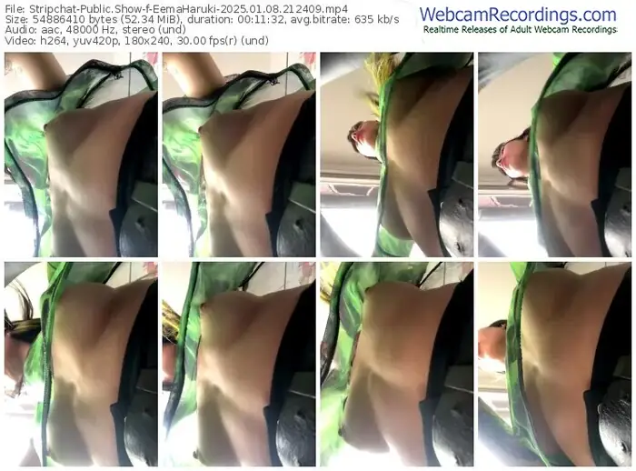 stripchat-eemaharuki-01-08-2025-21-24-09