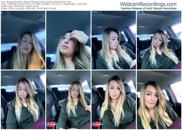stripchat-stasywood-01-08-2025-02-35-22