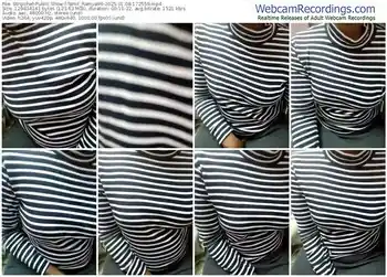 stripchat-tamil_ramya96-01-08-2025-17-25-59