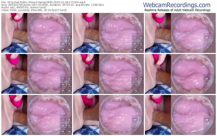 stripchat-danigirl866-01-08-2025-17-53-06
