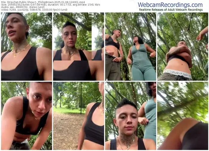 stripchat-_phillipbrown-01-08-2025-12-40-01