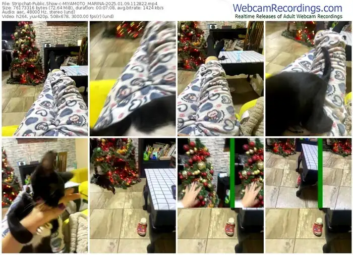 stripchat-miyamoto_marina-01-09-2025-11-28-22