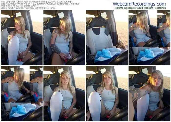 stripchat-sheissomething-01-09-2025-00-16-26