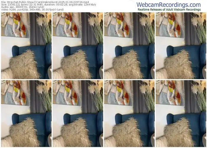 stripchat-carolinekronkvist-01-09-2025-22-07-26