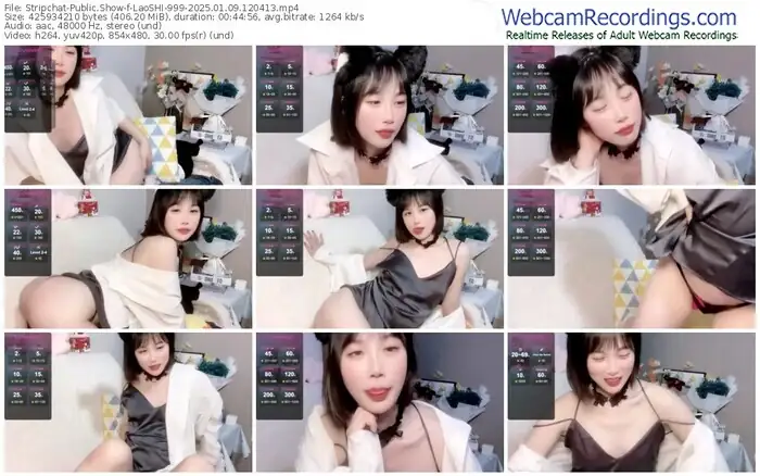 stripchat-laoshi-999-01-09-2025-12-04-13