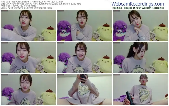 stripchat-n_hibiki-01-09-2025-16-36-09