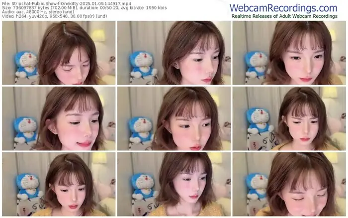 stripchat-onekitty-01-09-2025-14-49-17