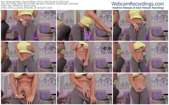 stripchat-tiffany_sims1-01-09-2025-21-20-03