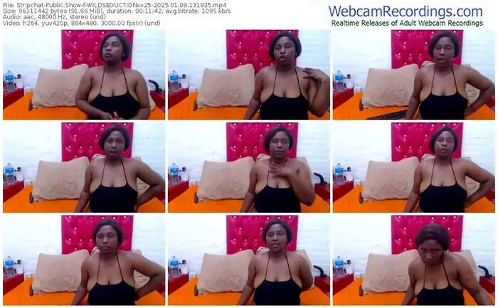 stripchat-wildseductionxx25-01-09-2025-13-19-35