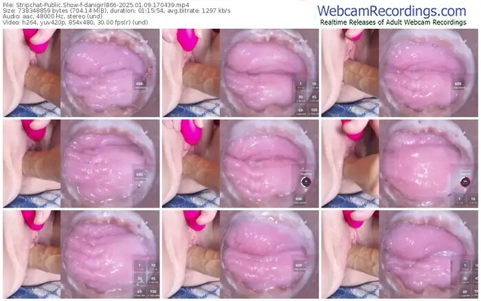 stripchat-danigirl866-01-09-2025-17-04-39