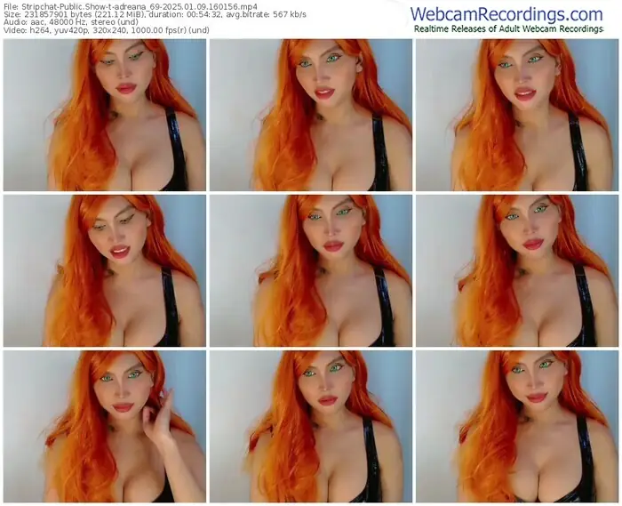 stripchat-adreana_69-01-09-2025-16-01-56