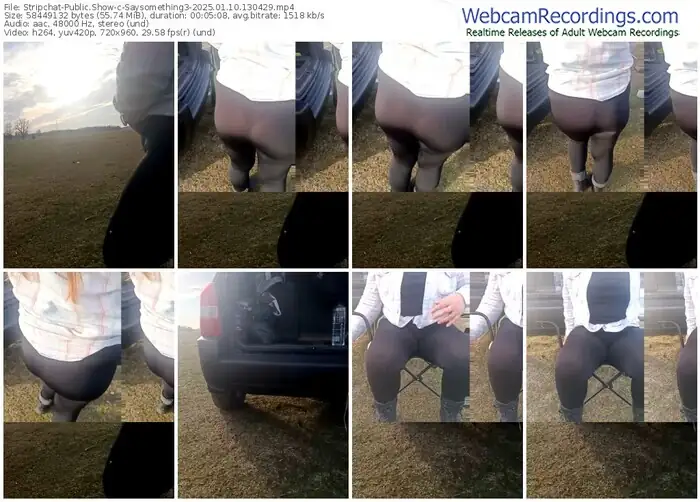 stripchat-saysomething3-01-10-2025-13-04-29