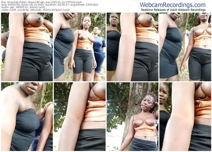stripchat-broan_me-01-10-2025-07-55-24