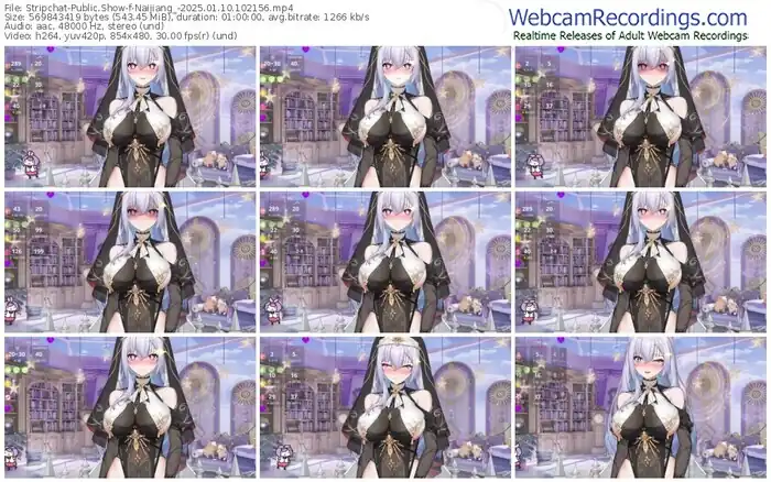 stripchat-naijiang_-01-10-2025-10-21-56