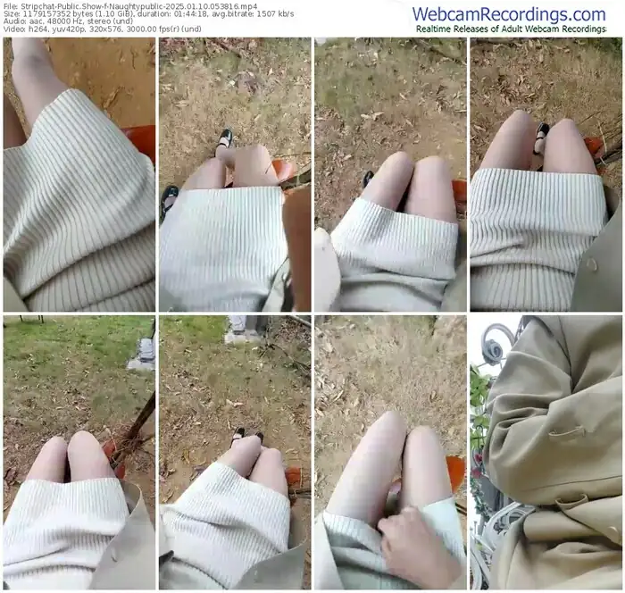 stripchat-naughtypublic-01-10-2025-05-38-16