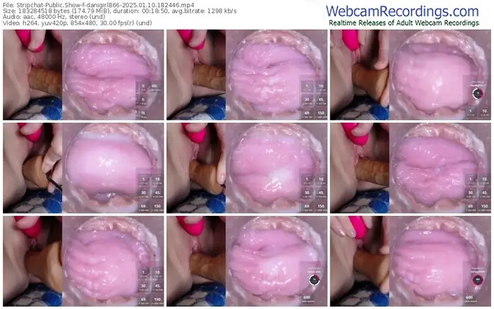 stripchat-danigirl866-01-10-2025-18-24-46