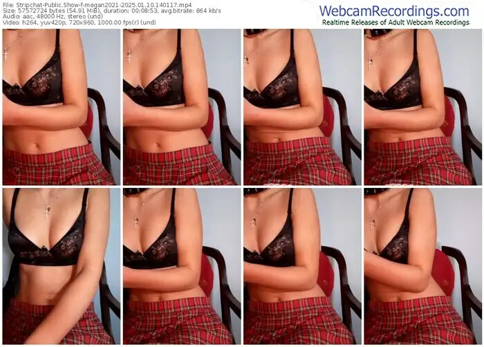 stripchat-megan2021-01-10-2025-14-01-17