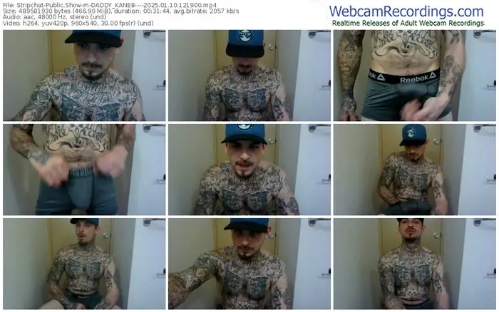 stripchat-daddy_kane8----01-10-2025-12-19-00