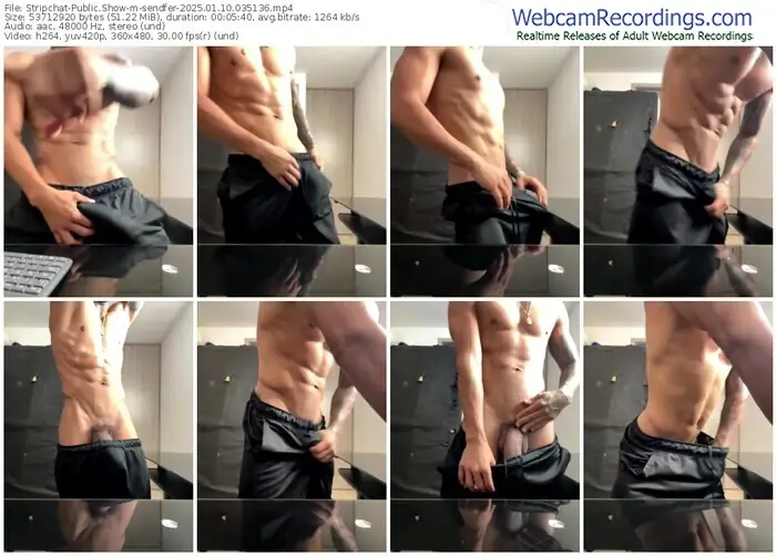 stripchat-sendfer-01-10-2025-03-51-36