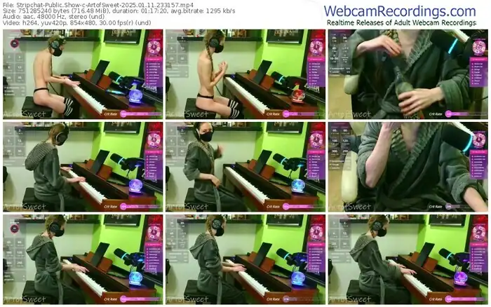 stripchat-artofsweet-01-11-2025-23-31-57