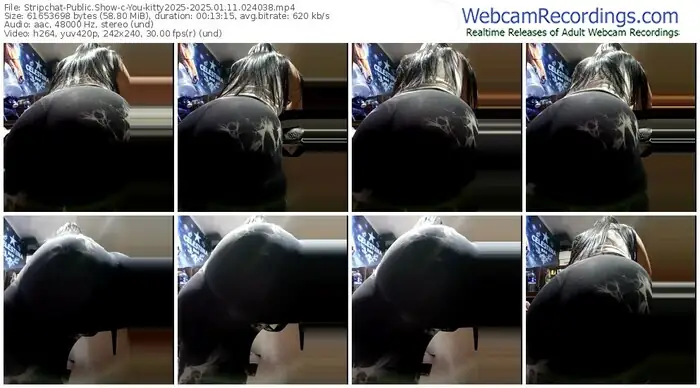 stripchat-you-kitty2025-01-11-2025-02-40-38