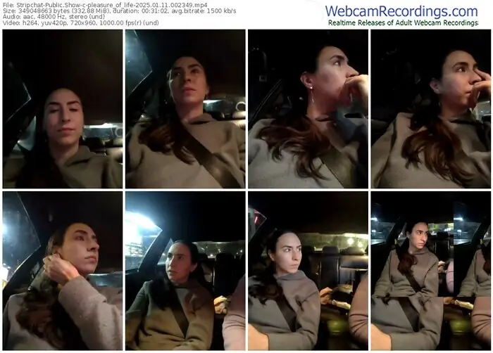 stripchat-pleasure_of_life-01-11-2025-00-23-49