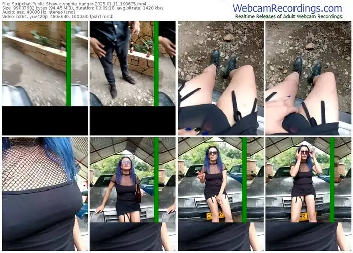 stripchat-sophie_banger-01-11-2025-19-06-35