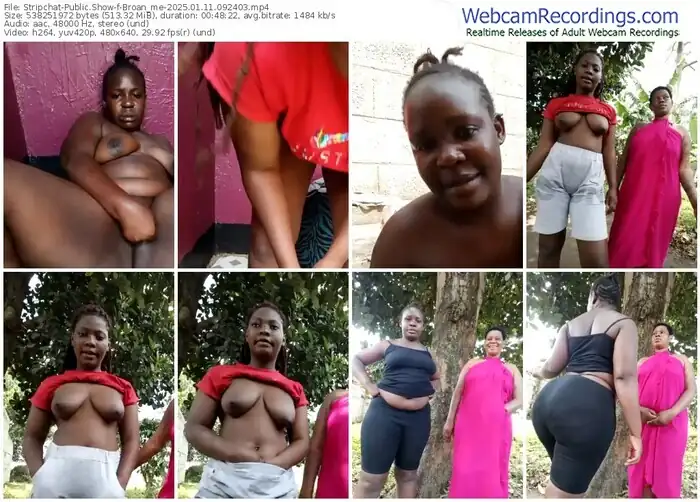 stripchat-broan_me-01-11-2025-09-24-03