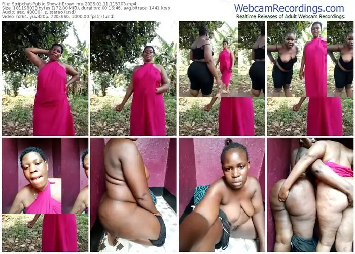 stripchat-broan_me-01-11-2025-11-57-03