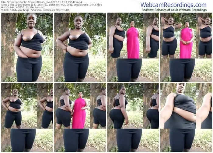 stripchat-broan_me-01-11-2025-12-35-47