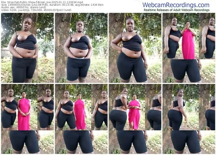 stripchat-broan_me-01-11-2025-12-36-34