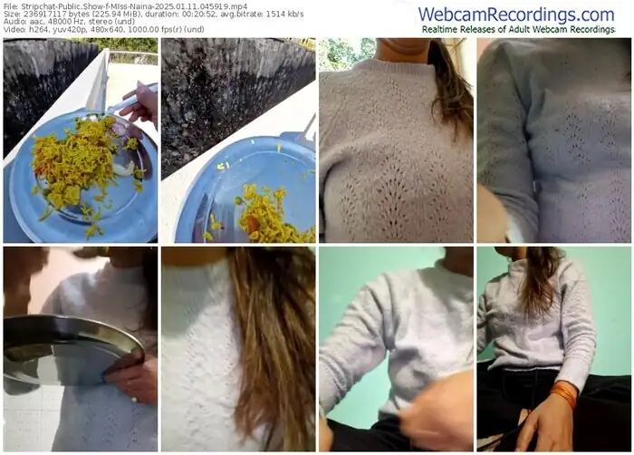stripchat-miss-naina-01-11-2025-04-59-19