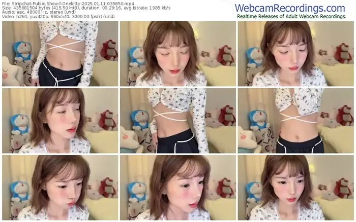 stripchat-onekitty-01-11-2025-03-58-50