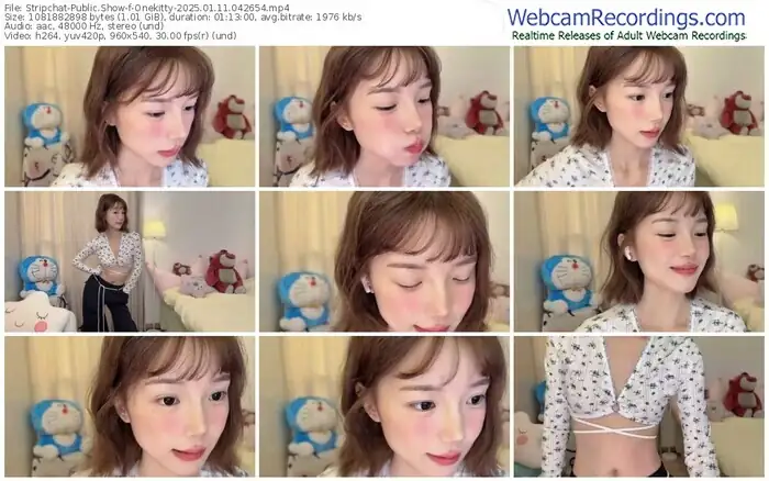 stripchat-onekitty-01-11-2025-04-26-54