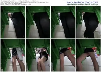 stripchat-sol_biglips-01-11-2025-22-50-06