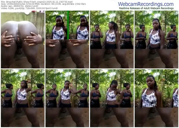 stripchat-swit_virgin22-01-11-2025-15-07-33