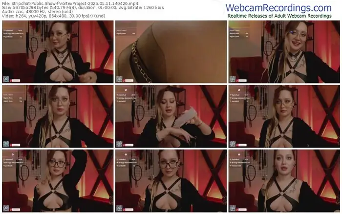 stripchat-vortexproject-01-11-2025-14-04-20