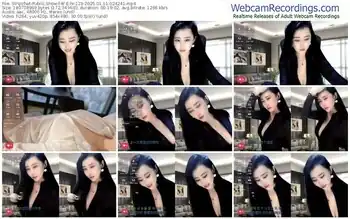 stripchat-w-e-n-123-01-11-2025-02-42-41