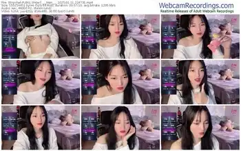 stripchat-___nari___-01-11-2025-22-47-31