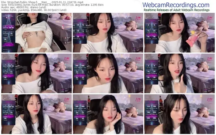 stripchat-___nari___-01-11-2025-22-47-31
