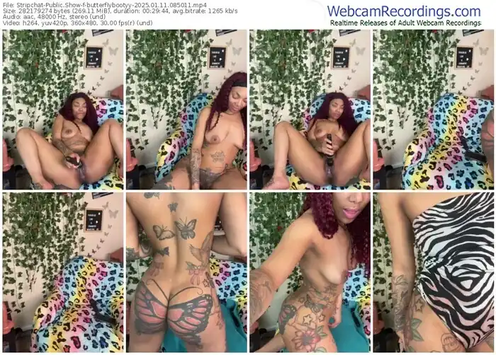 stripchat-butterflybootyy-01-11-2025-08-50-11