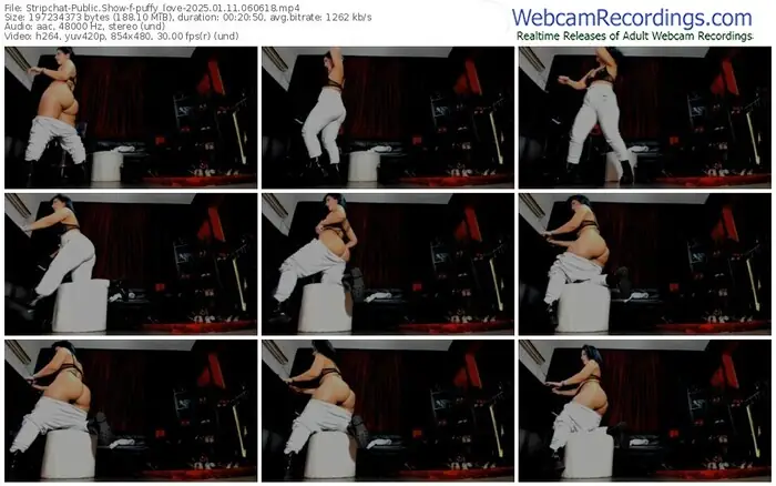 stripchat-puffy_love-01-11-2025-06-06-18