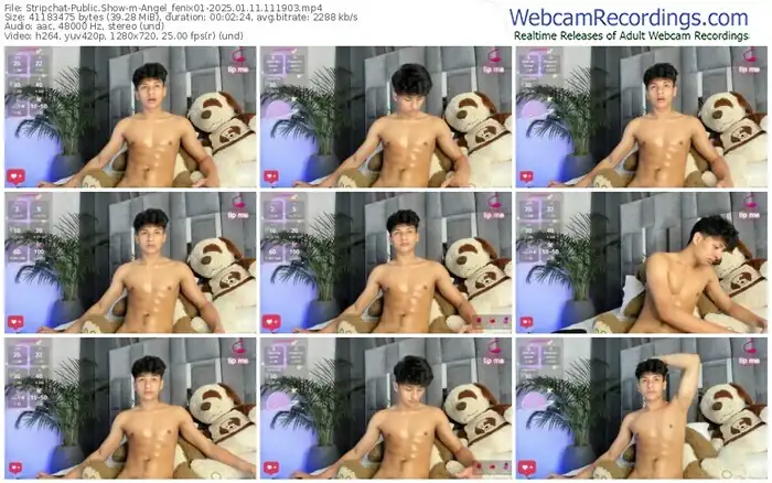 stripchat-angel_fenix01-01-11-2025-11-19-03