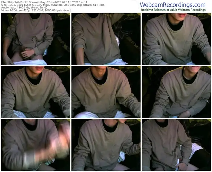 stripchat-ray175oo-01-11-2025-17-02-10