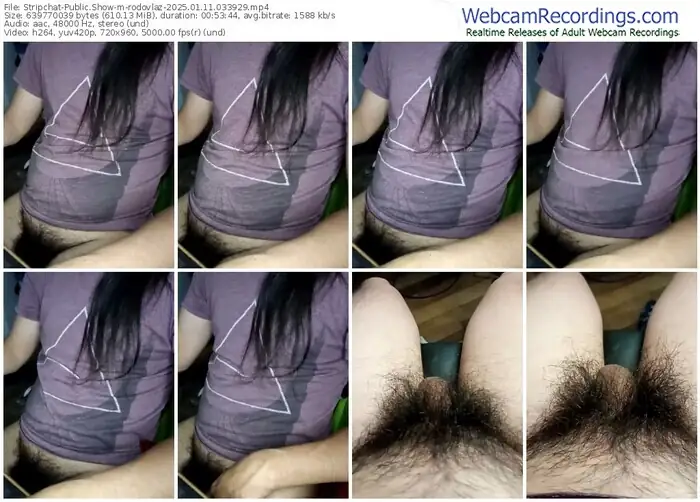 stripchat-rodovlaz-01-11-2025-03-39-29