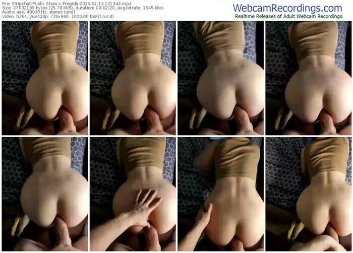 stripchat-fregida-01-12-2025-12-13-42