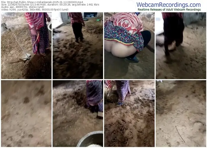 stripchat-indiankanak-01-12-2025-06-03-00