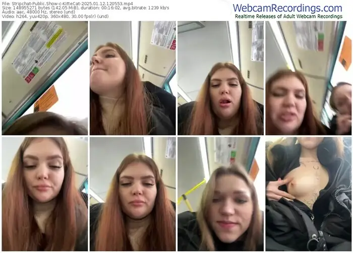 stripchat-kittecat-01-12-2025-12-05-53