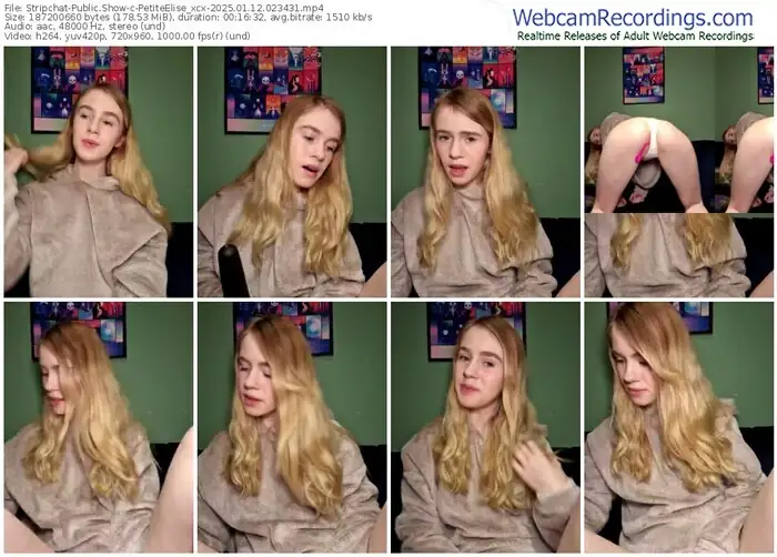 stripchat-petiteelise_xcx-01-12-2025-02-34-31
