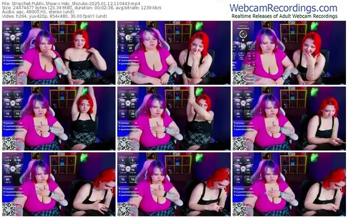 stripchat-yoki_shizuko-01-12-2025-11-04-43